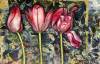 pflanzen-bilder-christine-herbold-ohmes (10)