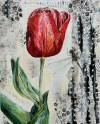 pflanzen-bilder-christine-herbold-ohmes (9)