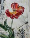 pflanzen-bilder-christine-herbold-ohmes (7)