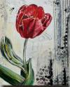pflanzen-bilder-christine-herbold-ohmes (1)