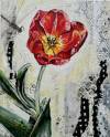 pflanzen-bilder-christine-herbold-ohmes (17)