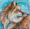tierbilder-christine-herbold-ohmes (5)