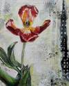 pflanzen-bilder-christine-herbold-ohmes (21)