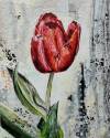 pflanzen-bilder-christine-herbold-ohmes (23)