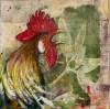 tierbilder-christine-herbold-ohmes (6)