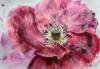 pflanzen-bilder-christine-herbold-ohmes (15)