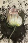 pflanzen-bilder-christine-herbold-ohmes (16)