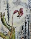 pflanzen-bilder-christine-herbold-ohmes (27)