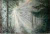 landschaftsbilder-christine-herbold-ohmes (7)