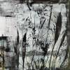 pflanzen-bilder-christine-herbold-ohmes (5)