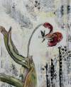 pflanzen-bilder-christine-herbold-ohmes (11)