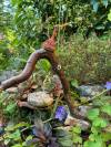 skulpturen-fabelwesen-christine-herbold-ohmes (34) (Copy)