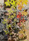 pflanzen-bilder-christine-herbold-ohmes (8)