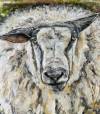 tierbilder-christine-herbold-ohmes (10)