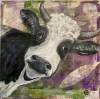 tierbilder-christine-herbold-ohmes (15)