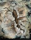 struktur-bilder-christine-herbold-ohmes (25)
