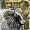 tierbilder-christine-herbold-ohmes (12)