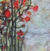pflanzen-bilder-christine-herbold-ohmes (19)