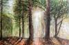 landschaftsbilder-christine-herbold-ohmes (6)