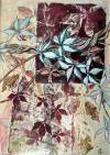 pflanzen-bilder-christine-herbold-ohmes (3)