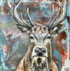 tierbilder-christine-herbold-ohmes (13)