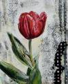 pflanzen-bilder-christine-herbold-ohmes (12)