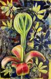 pflanzen-bilder-christine-herbold-ohmes (6)