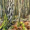 landschaftsbilder-christine-herbold-ohmes (11)